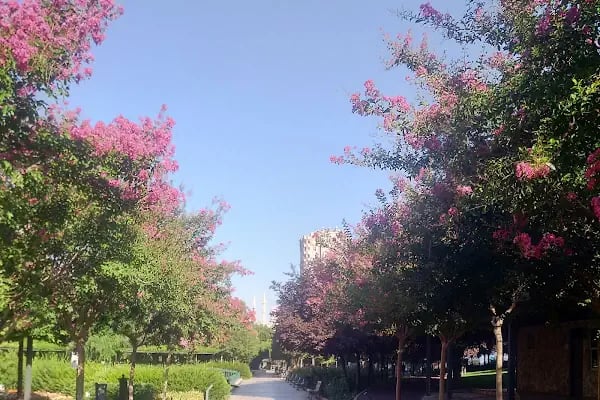 Anneler Parkı - Resim 20