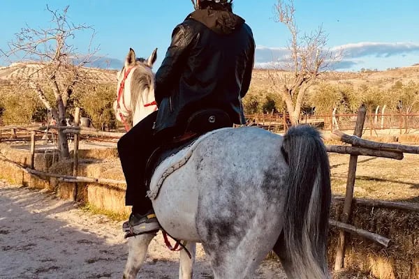 Gaziantep Hayvanat Bahçesi Binicilik &amp; Pony Club - Resim 15