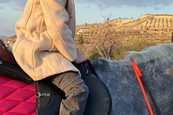 Gaziantep Hayvanat Bahçesi Binicilik &amp; Pony Club - Resim 10