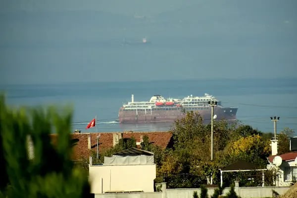 Çınarcık Taşliman - Resim 14
