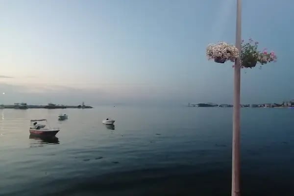 Çınarcık Taşliman - Resim 19