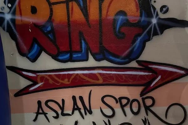 ASLAN SPOR KULÜBÜ - Resim 2