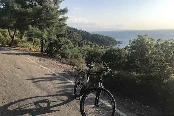 Büyükada Kurşunburnu Şehitler Ormanı - Resim 11