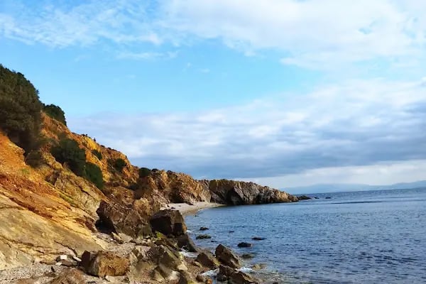 Büyükada Kurşunburnu Şehitler Ormanı - Resim 20