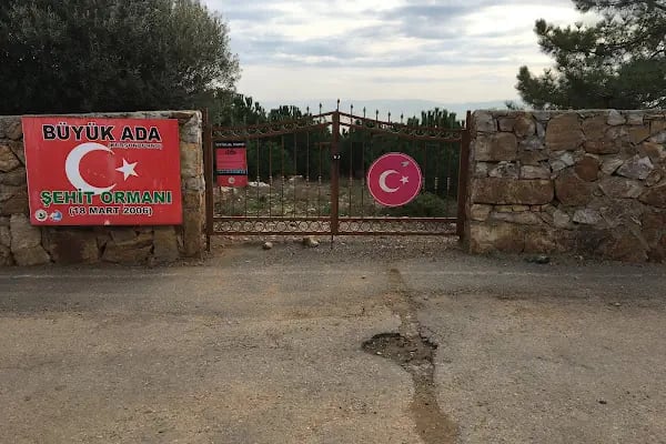 Büyükada Kurşunburnu Şehitler Ormanı - Resim 9