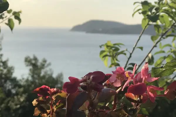 Büyükada Kurşunburnu Şehitler Ormanı - Resim 16