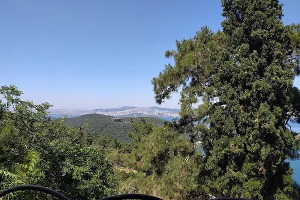 Büyükada Kurşunburnu Şehitler Ormanı - Resim 3