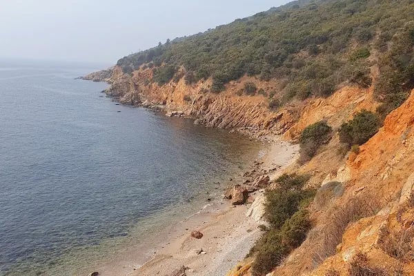 Büyükada Kurşunburnu Şehitler Ormanı - Resim 15