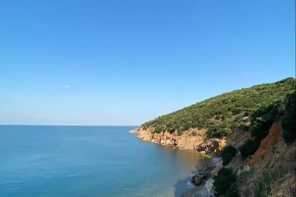 Büyükada Kurşunburnu Şehitler Ormanı - Resim 19