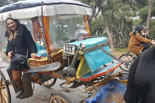 Büyükada Kurşunburnu Şehitler Ormanı - Resim 14