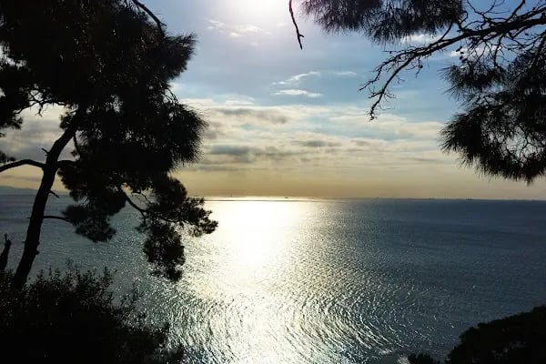Büyükada Kurşunburnu Şehitler Ormanı - Resim 4