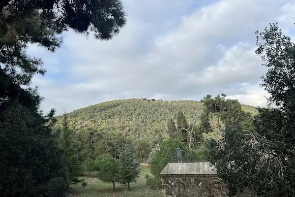 Büyükada Kurşunburnu Şehitler Ormanı - Resim 8