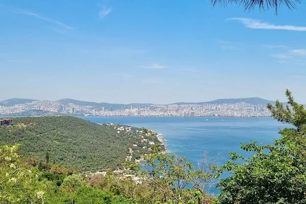 Büyükada Kurşunburnu Şehitler Ormanı - Resim 2