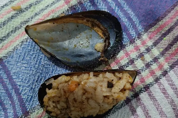 Aliağa Midye Dolma Sarayı - Resim 10
