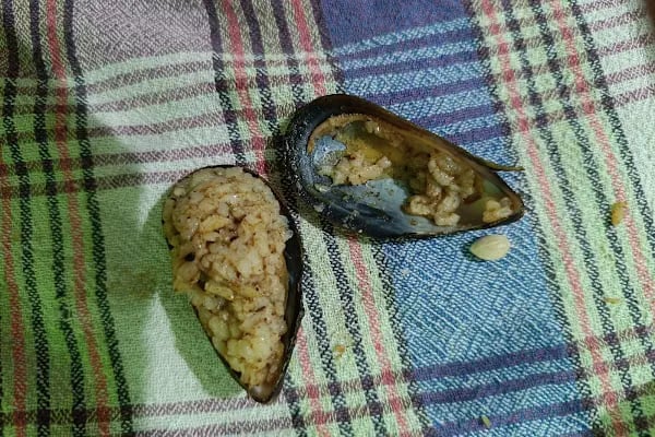 Aliağa Midye Dolma Sarayı - Resim 20