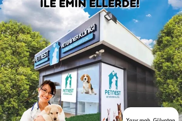 Petnest Veteriner Kliniği - Resim 16