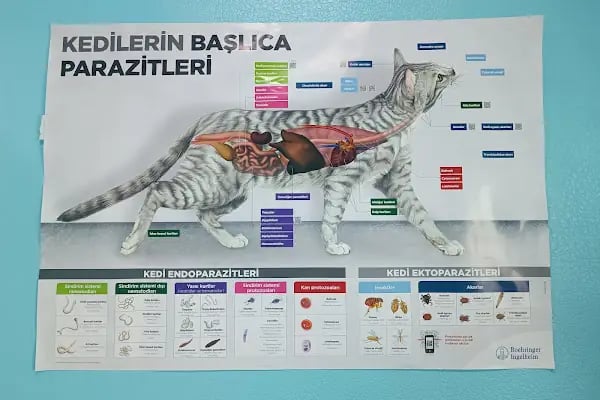 Petnest Veteriner Kliniği - Resim 15