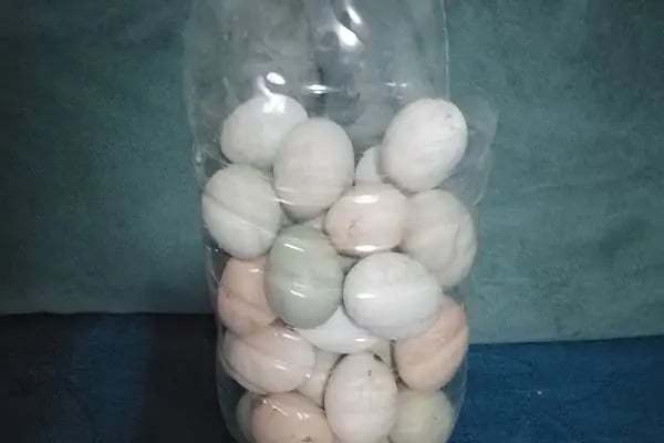Çelik Otomotiv Ticaret (Japon &amp; Kore Yedek Parça) - Resim 11