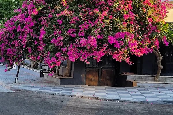 BALŞEN HOTEL - Resim 15