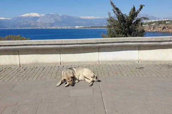 Karaaalioğlu Parkı Batı Seyir Terası - Resim 19