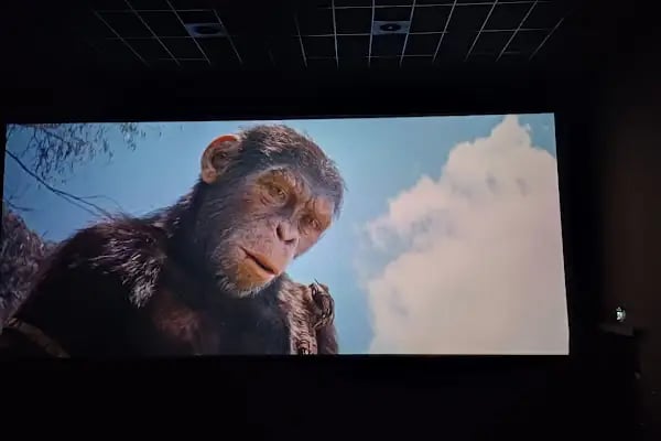 Paribu Cineverse Point Bornova - Resim 16