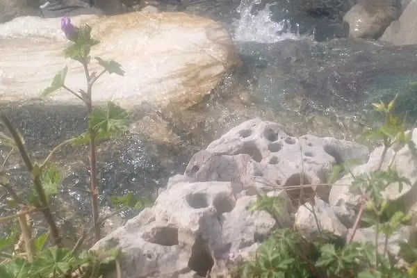 Soğuksu Seyir Parkı - Resim 17