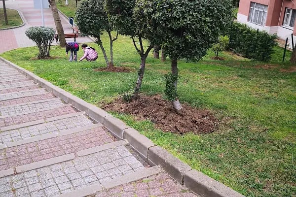 Koza Parkı - Resim 14