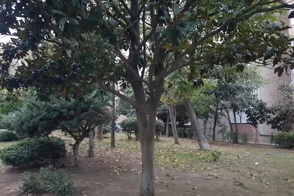 Koza Parkı - Resim 10