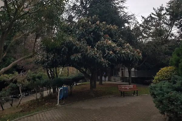 Koza Parkı - Resim 17