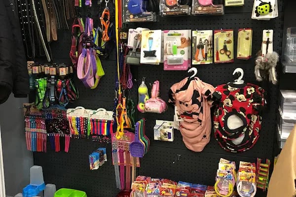D &amp; O PET SHOP - Resim 11