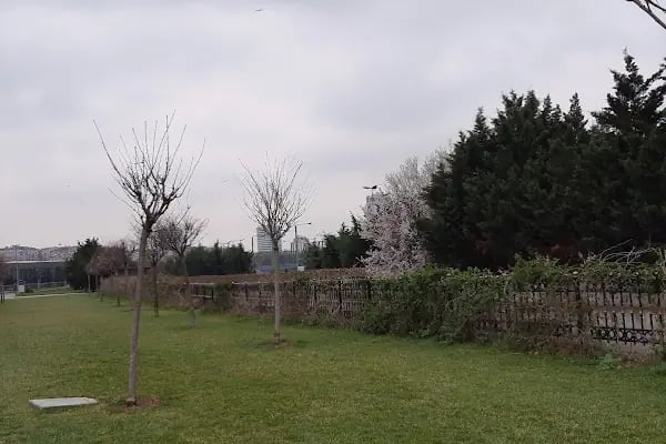 İBB Çırpıcı Sport Tesisleri - Resim 14