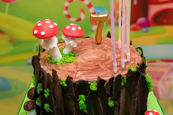 Mini Farm Antalya (işletmemizin günlük çalışma saatlerini instagram adresinden bakınız) - Resim 17