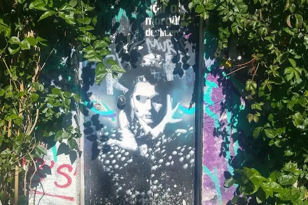 Büyük Kulüp Tenis Kortları - Resim 15