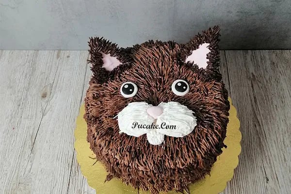 Pucake - Resim 16
