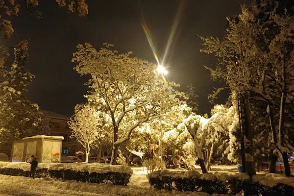 Park Kafe Balıkesir - Resim 2