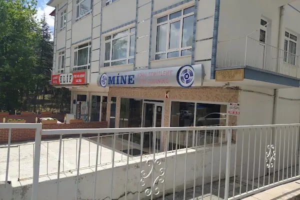 Mine Kuru Temizleme - Resim 1