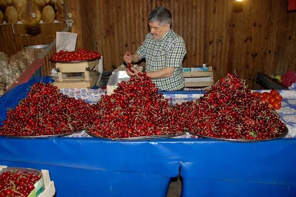 Özşen Gıda Akçaabat - Resim 2
