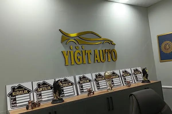 Yiğit Auto Ceylanpınar - Resim 1
