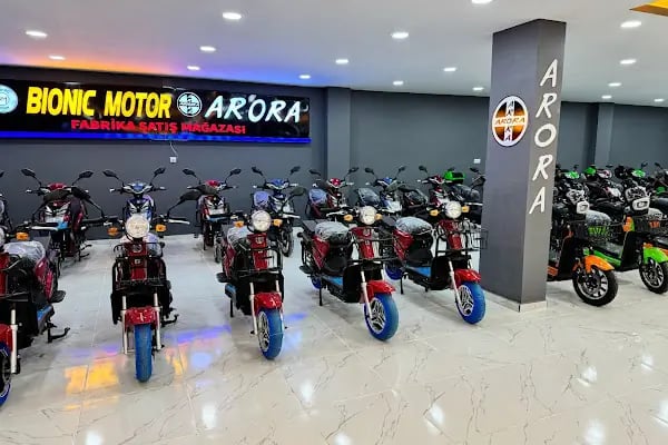 Yiğit Auto Ceylanpınar - Resim 2