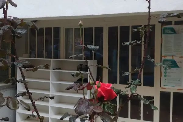 Bergama Güven Spor Kulübü - Resim 18