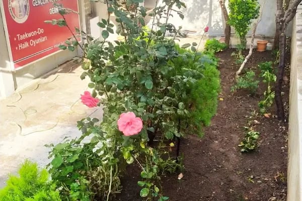 Bergama Güven Spor Kulübü - Resim 12