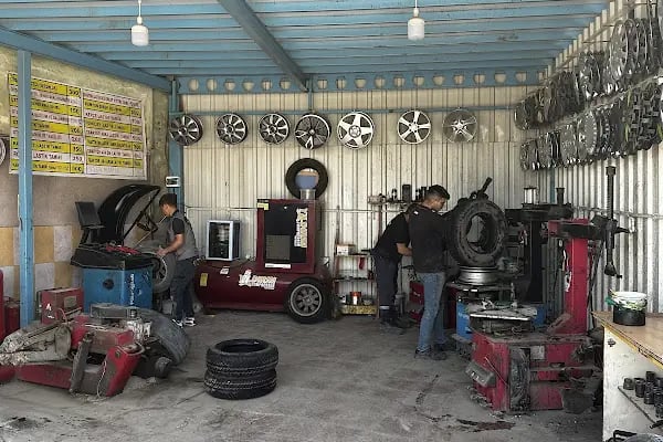 PETLAS-Buğrahan Oto Lastik - Resim 2