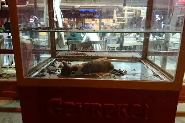FLO İzmir Balçova Cadde Mağazası - Resim 3