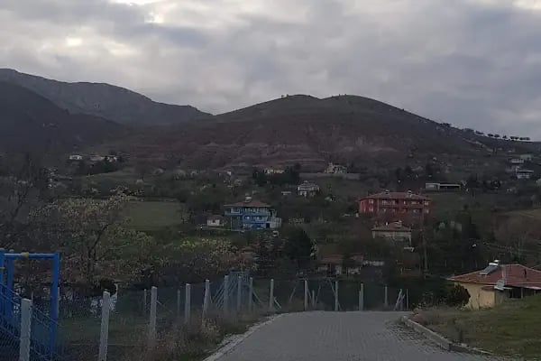Gökler Köyü Cami - Resim 11