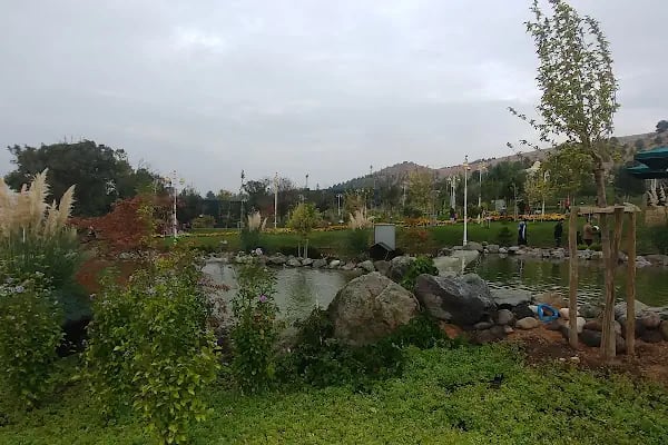 Orduzu C tipi Mesire yeri Botanik ve Hayvanat Bahçesi - Resim 8