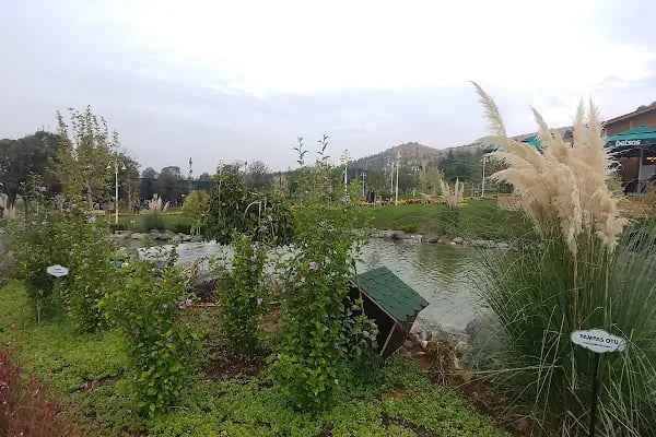 Orduzu C tipi Mesire yeri Botanik ve Hayvanat Bahçesi - Resim 15