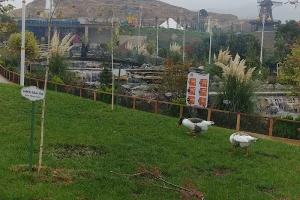 Orduzu C tipi Mesire yeri Botanik ve Hayvanat Bahçesi - Resim 14