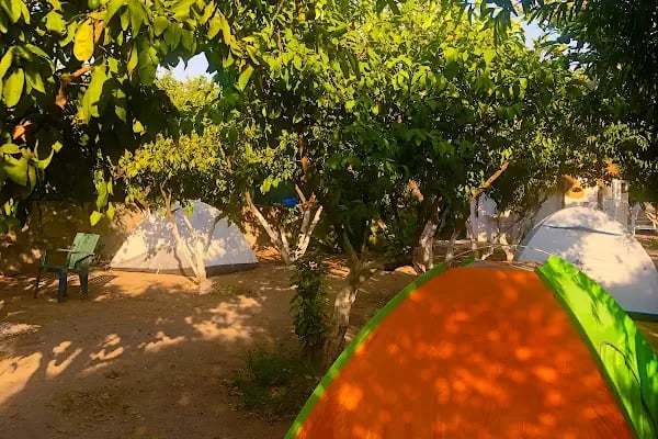 Bodrum Vosvos Camping &amp; Bora Sencer Sanat Köyü - Resim 3