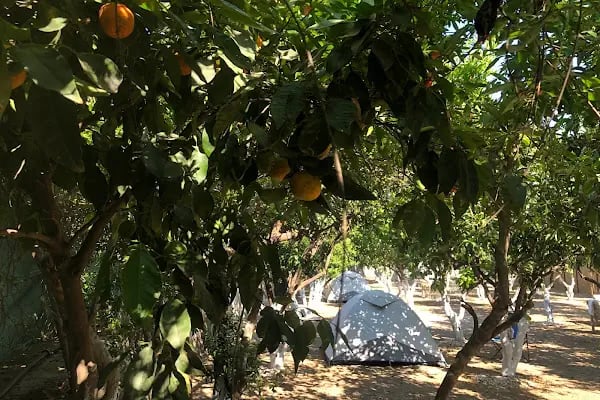 Bodrum Vosvos Camping &amp; Bora Sencer Sanat Köyü - Resim 18