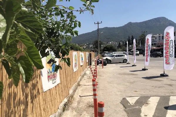 Bodrum Vosvos Camping &amp; Bora Sencer Sanat Köyü - Resim 10